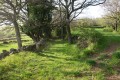 Chemin ombragé
