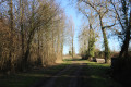 Chemin ombragé