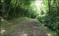 Chemin ombragé Chemin ombragé