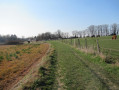 Chemin où l'on croise des chevaux !