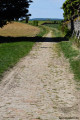 Chemin pavé