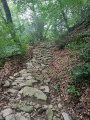 Le Ségala : le Sentier des Anciens Moulins