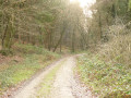 Chemin pavé