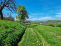 Chemin pédestre
