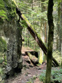 Chemin pittoresque vers la Zweribach Wasserfall