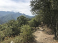 chemin pour aller à la source