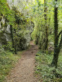 chemin pour descendre