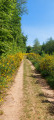 Boucle du Winterberg au Birenberg et Chemin des Insectes à La Petite Pierre
