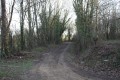 Chemin près de l'embranchement de la Guillotière
