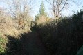 Chemin près de la Briette