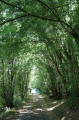 Chemin pr&egrave;s de la Maison Neuve