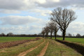 Chemin près de Saint-Août