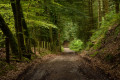 Chemin proche de l'arrivée