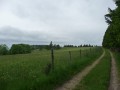 Chemin qui borde le Grand Bois