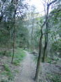 Chemin qui descend au bivoac Chemin qui descend au bivoac