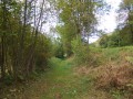Chemin qui longe la route Chemin qui longe la route