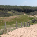 Chemin qui mène à la plage