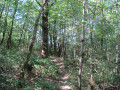 Promenade autour de l'Aussonnelle