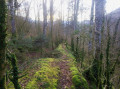 chemin qui surplomb le ruisseau