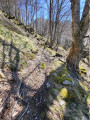 Chemin retrouvé