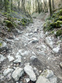 Chemin, ruisseau ?