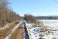 Chemin rural entouré de petites haies