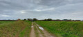 Chemin rural