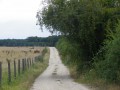 Chemin rural