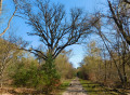 Chemin sablonneux