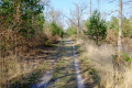 Chemin sablonneux
