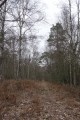 Chemin Sauvage