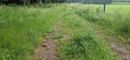 Chemin ? Sentier ?