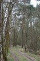 Chemin solognot