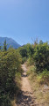chemin sur la corniche