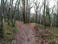 Chemin sur le Causse après le gouffre des Jonquilles