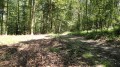 La forêt de Carnelle La forêt de Carnelle