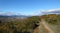 Chemin sur le Serre Bastel