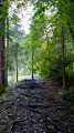 Chemin tortueux