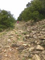 Chemin très pierreux ... Chemin très pierreux ...