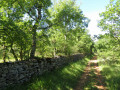 Chemin typique