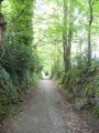 Chemin vers Hennebont Chemin vers Hennebont