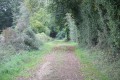 Chemin vers la forêt des bois de Chevrelle