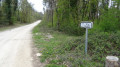 chemin vers la Tour des Bois
