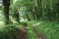 Chemin vers le Clapier