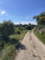 Chemin vers le pigeonnier