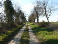 Chemin vers Thiverval