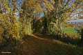 Chemin Vert