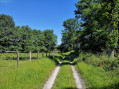 Chemin vert