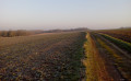 Chemin
