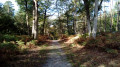 Chemin
